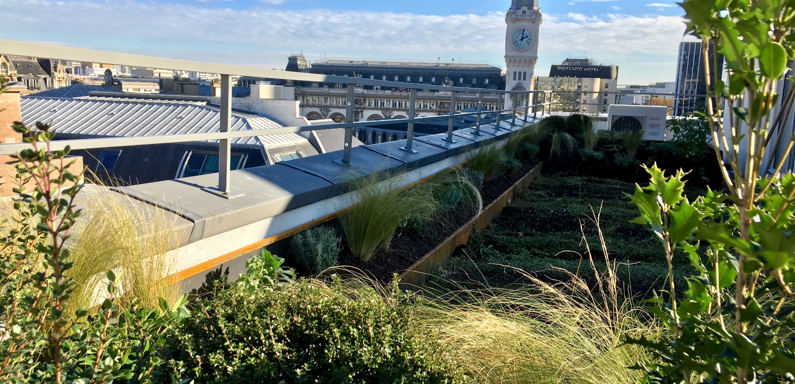 Bering corten trapèze, bacs alignés, jardin-terrasse à Paris